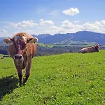 Zugspitzblick *