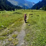 Apartman Zugspitzblick
